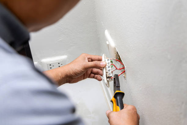 Best Licensed Electrician  in Venus, TX